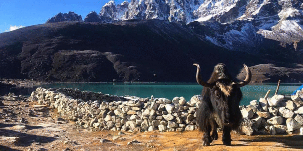 how many lakes in nepal